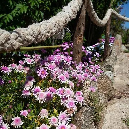 Al Passo Di Thalia Bed & Breakfast