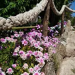 Al Passo Di Thalia Bed and Breakfast