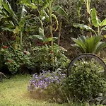Al Passo Di Thalia Bed & Breakfast 3*