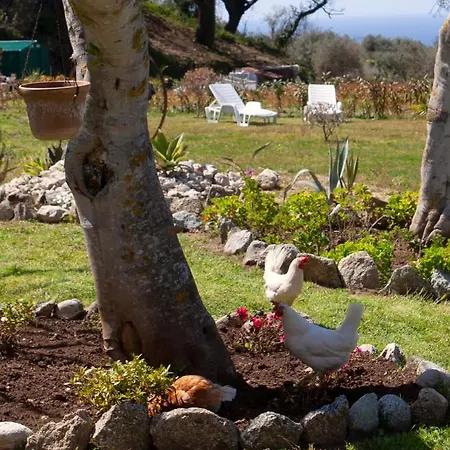 Al Passo Di Thalia 4* Ricadi