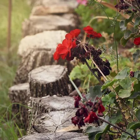 Al Passo Di Thalia 4*