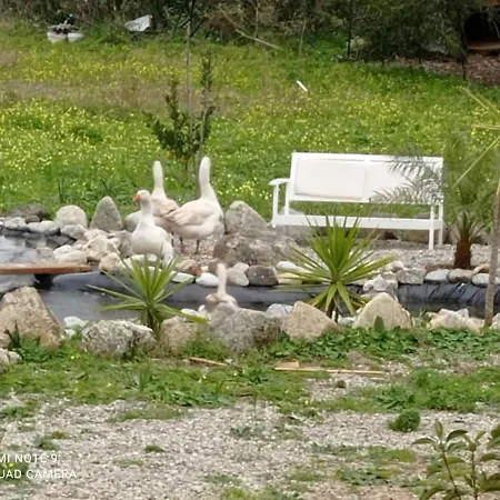 Bed & Breakfast Al Passo Di Thalia 4*