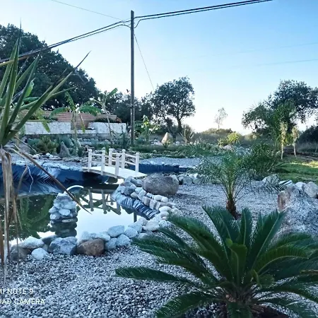 Al Passo Di Thalia 4* Ricadi