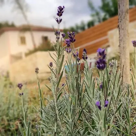 Bed & Breakfast Al Passo Di Thalia