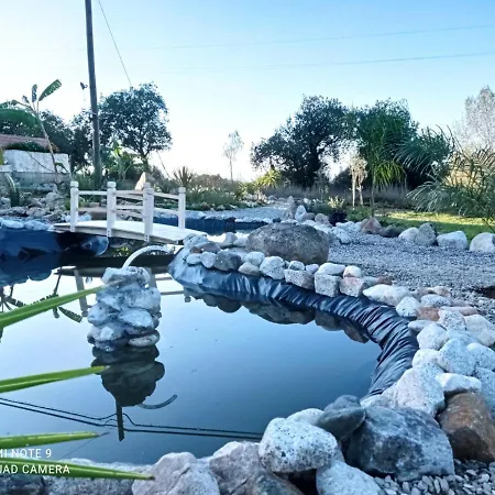 Bed & Breakfast Al Passo Di Thalia