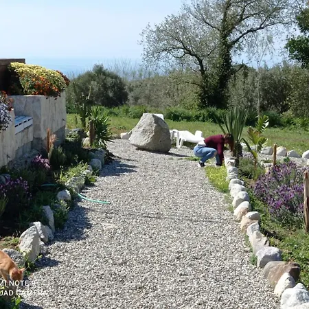 Al Passo Di Thalia Ricadi