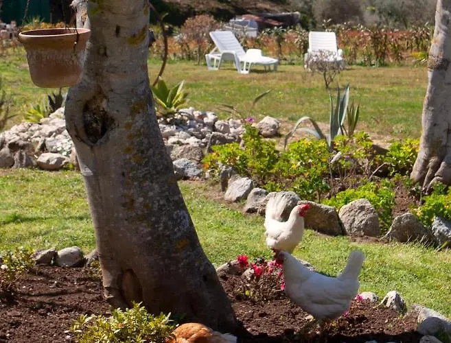 Al Passo Di Thalia 4* Ricadi