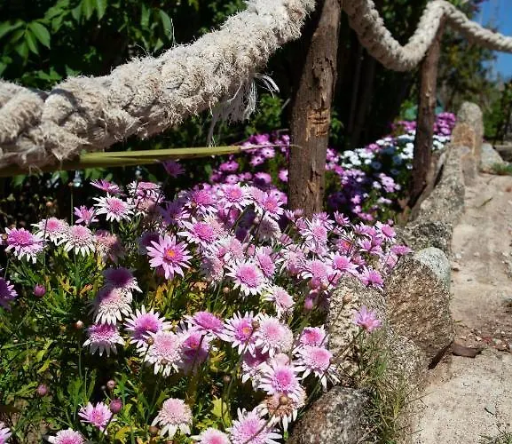 Al Passo Di Thalia Bed & Breakfast