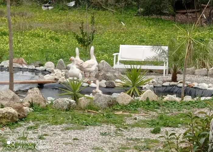 Bed & Breakfast Al Passo Di Thalia 4*