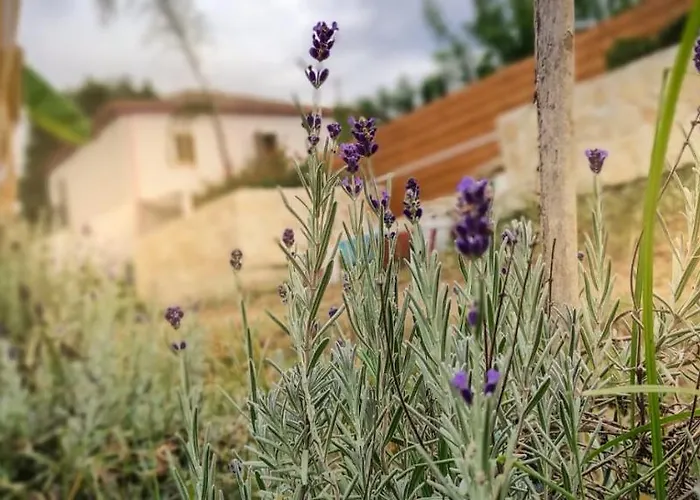 Bed & Breakfast Al Passo Di Thalia