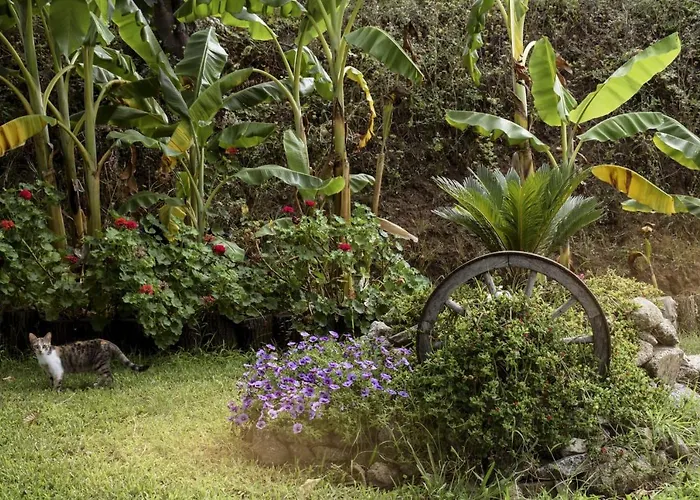 Al Passo Di Thalia Bed & Breakfast 4*