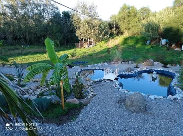 Bed & Breakfast Al Passo Di Thalia