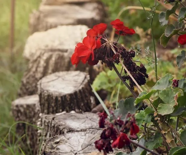 Al Passo Di Thalia 4*