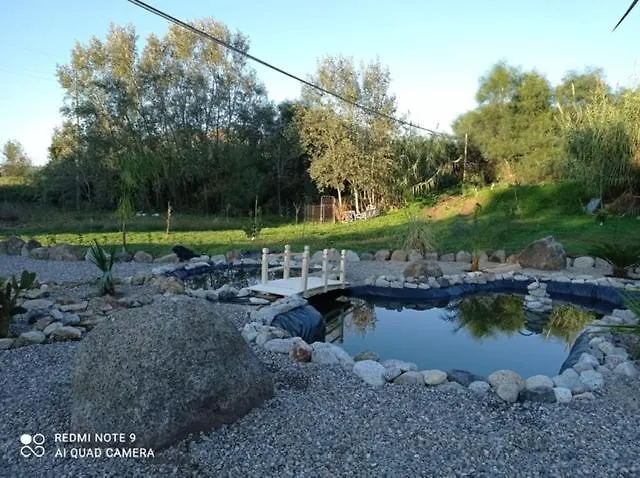 Al Passo Di Thalia 住宿加早餐酒店 4*